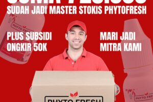 Hanya 5 Paket saja sudah jadi MASTOK PHYTO FRESH