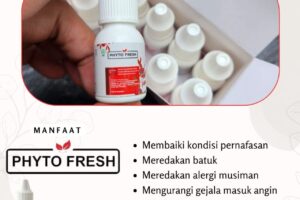 sensasi segar dan nyaman setiap hari dengan minyak aromatherapy Phyto Fresh