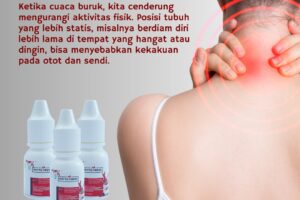 Phyto Fresh Sikecil mungil yang bakal kamu cari terus setiap hari,setiap waktu