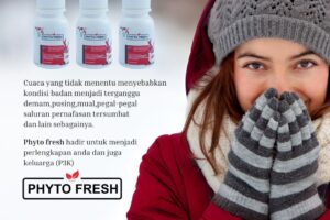 Phyto Fresh Sikecil mungil yang bakal kamu cari terus setiap hari dan setiap waktu untuk P3K anda dan keluarga tercinta