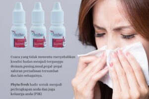 Phyto Fresh Sikecil mungil yang bakal kamu cari terus setiap hari dan setiap waktu untuk P3K anda dan keluarga tercinta