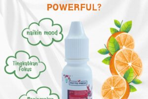 Minyak lemon dalam Phyto Fresh bisa bantu naikin mood dan fokus. Sehingga cocok dijadikan aroma terapi di rumah.