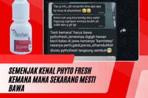 Semenjak kenal Phyto Fresh sekarang kemana mana mesti bawa. Pernah suatu hari ke gigit kamitetep / ulat kantong sampai gatal dan merah, setelah di oles pakai Phyto Fresh gatalnya mereda dan tidak merah lagi.