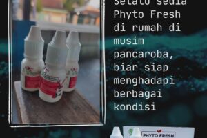 Selalu sedia Phyto Fresh di rumah selama pancaroba memberikan rasa tenang karena keluarga siap menghadapi perubahan cuaca yang tidak menentu.