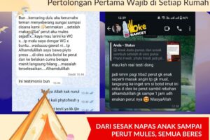 Dari perut mules sampai sesak napas, semua beres dengan di oles Phyto Fresh Essential Therapy Oil