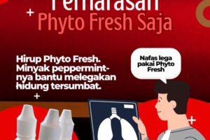 Punya masalah pernapasan atau hidung tersumbat? Coba deh hirup Phyto Fresh!