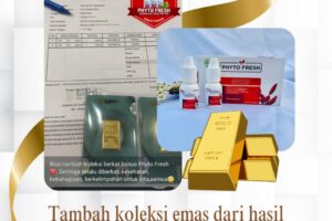 Senangnya berbisnis bareng Phyto Fresh. Hasil bisnisnya bisa buat tambah koleksi emas.