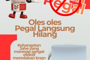 Stop Mengeluh Pegal! Phyto Fresh Siap Jadi Pahlawan Anda! 🦸