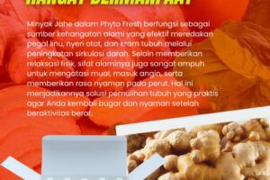 Sering merasa kaku atau nyeri otot setelah seharian beraktivitas? Jangan dibiarkan! Minyak Jahe dalam Phyto Fresh hadir sebagai solusi alami untuk merelaksasi tubuhmu.