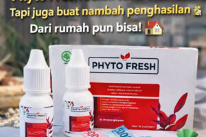 Phyto Fresh bukan cuma buat sehat Tapi juga buat nambah penghasilan