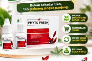Phyto Fresh Bisnis Viral ubah kebutuhan jadi penghasilan