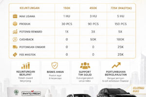 Simple Marketing Plan PHYTO FRESH, Begini Penjelasannya..
