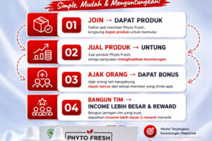 Cara Kerja Bisnis Phyto Fresh