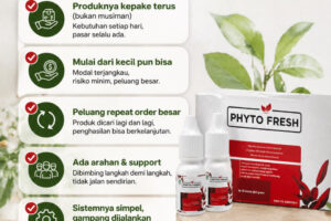 Kenapa banyak yang pilih bisnis Phyto Fresh?