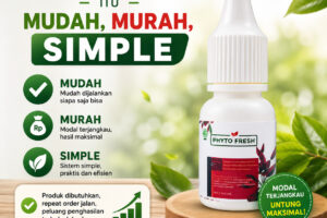 Phyto Fresh itu Mudah, Murah, Simple Cocok buat yang mau mulai usaha tanpa ribet 🚀