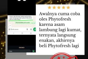 Asam Lambung Kumat? Simak Pengalaman Pengguna Setelah Mencoba Phytofresh
