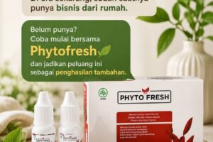 Coba mulai bersama Phytofresh dan jadikan peluang ini sebagai penghasilan tambahan