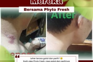 Phyto Fresh sensasi hangat dan segarnya bikin makin nyaman.