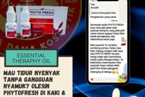 Aroma terapi dari Phytofresh bantu usir nyamuk pengganggu tidur